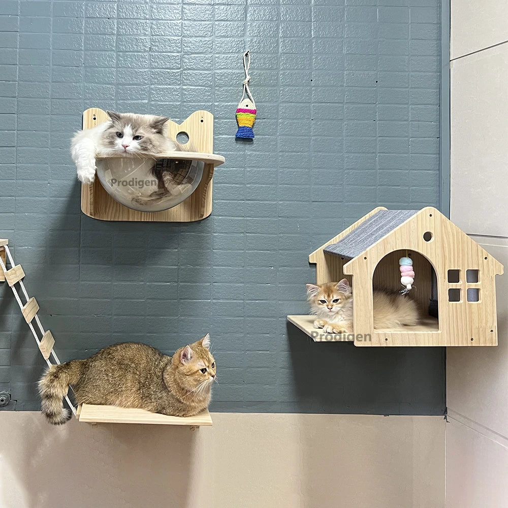 Maison en bois murale pour chat - MaisonPerchée