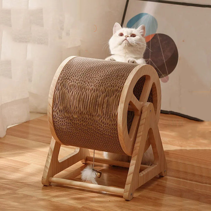 Roue d'Exercice pour Chat - Modèle "WhiskerWheel"