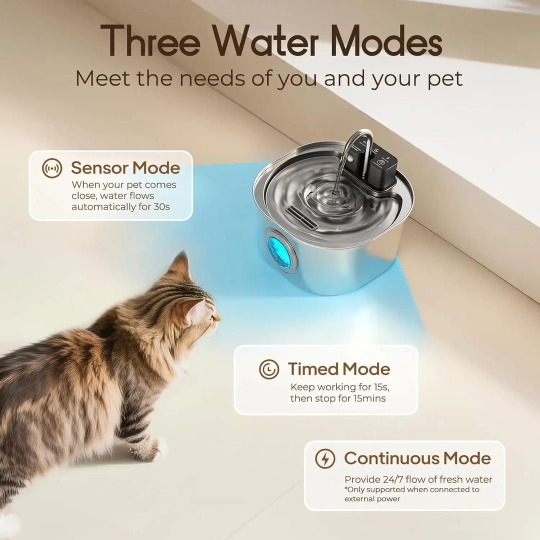 Fontaine à eau pour animaux, en acier inoxydable, trois modes : automatique, minuté, continu.