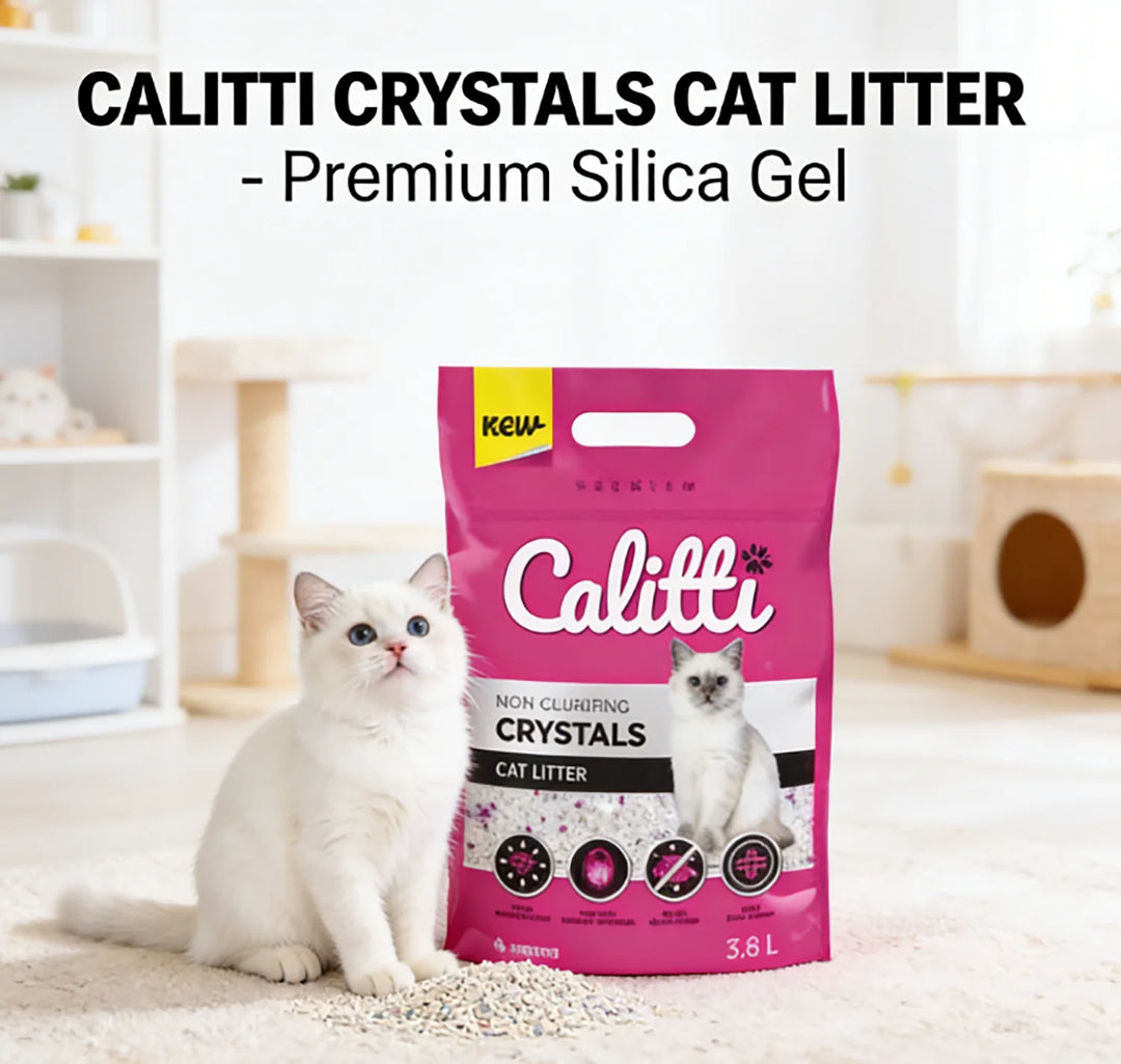 Litière Cristaux de Silice – Modèle "CrystalClean 3.8L"