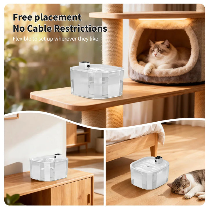 Distributeur d'eau flexible en plastique transparent pour animaux, sans câbles, design moderne.