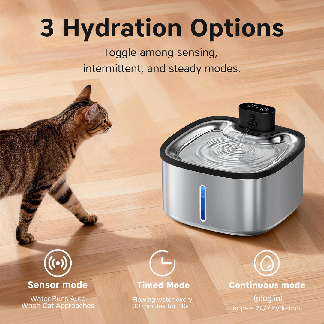 Fontaine à eau pour animaux en acier inoxydable, 3 modes d'hydratation pour chats, design élégant et pratique.