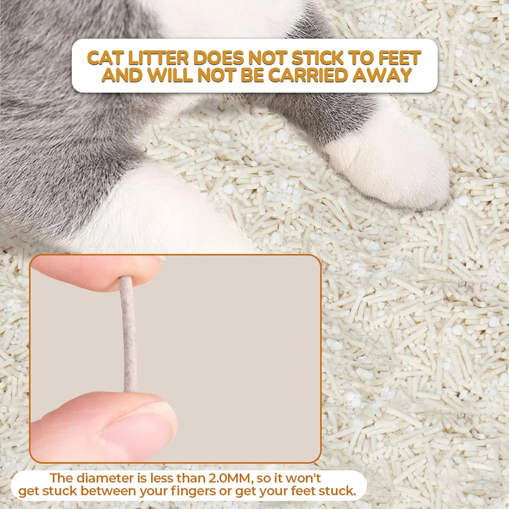 Litière Tofu Ultra Absorbante – Modèle "PureTofu DuoPack"