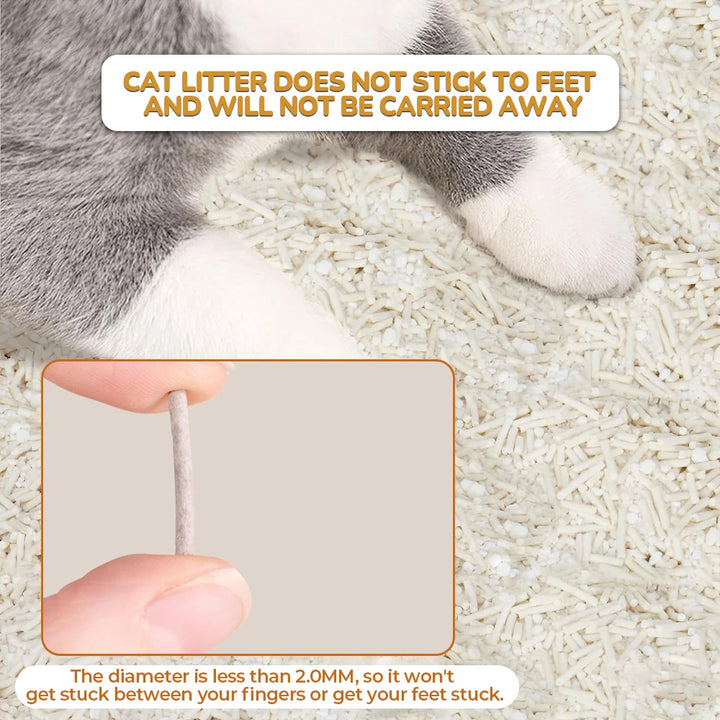 Litière Tofu Ultra Absorbante – Modèle "PureTofu DuoPack"