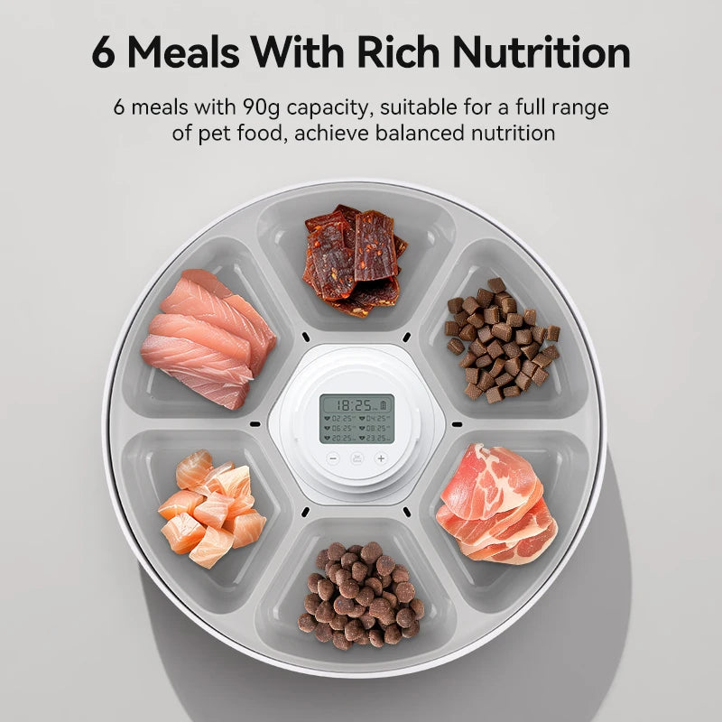 Distributeur automatique de nourriture pour animaux, 6 repas de 90g, coloris gris, pour nutrition équilibrée.