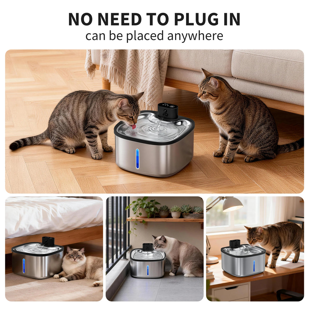 Fontaine à eau pour chats en inox, design sans branchement, pratique et mobile.