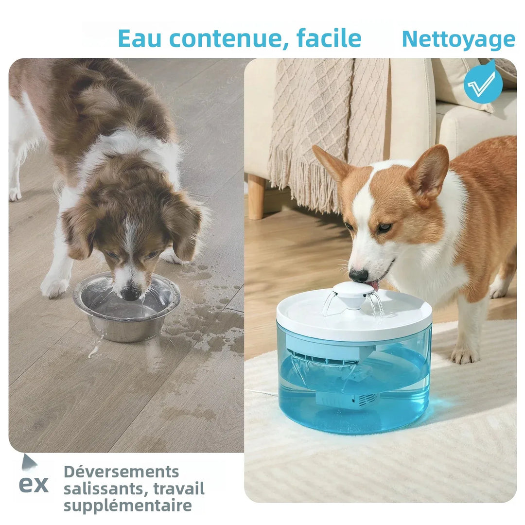 Fontaine à eau pour chien, couleur bleu, design facile à nettoyer, évite les déversements.