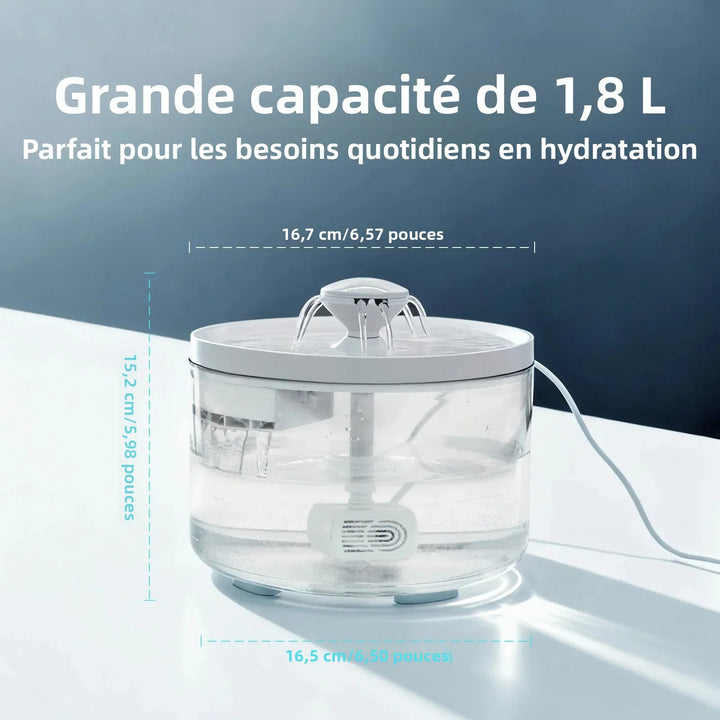 Humidificateur de 1,8 L en plastique transparent, idéal pour l'hydratation quotidienne.