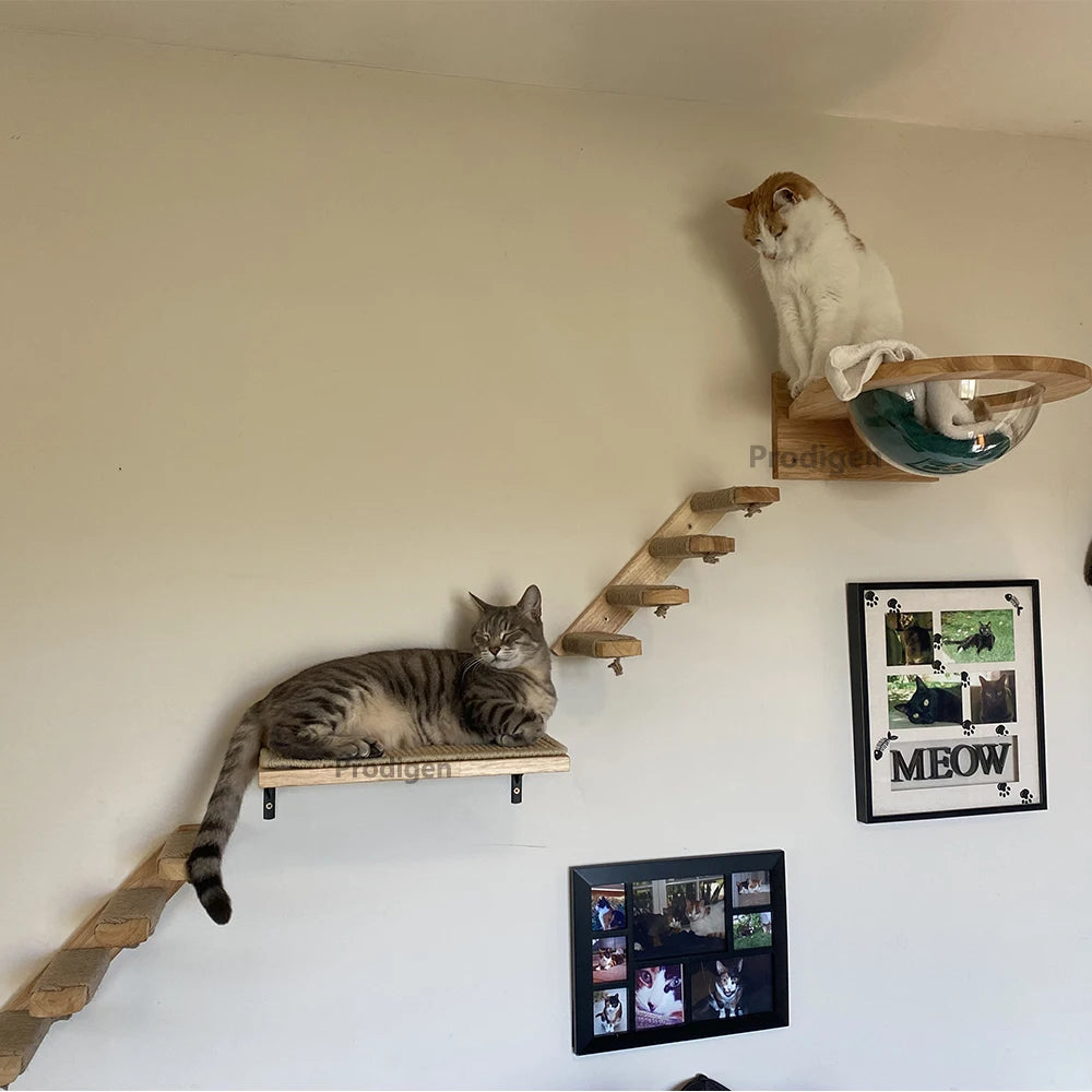 Arbre a chat Mural - Capsule spatiale - NidGrimpeur