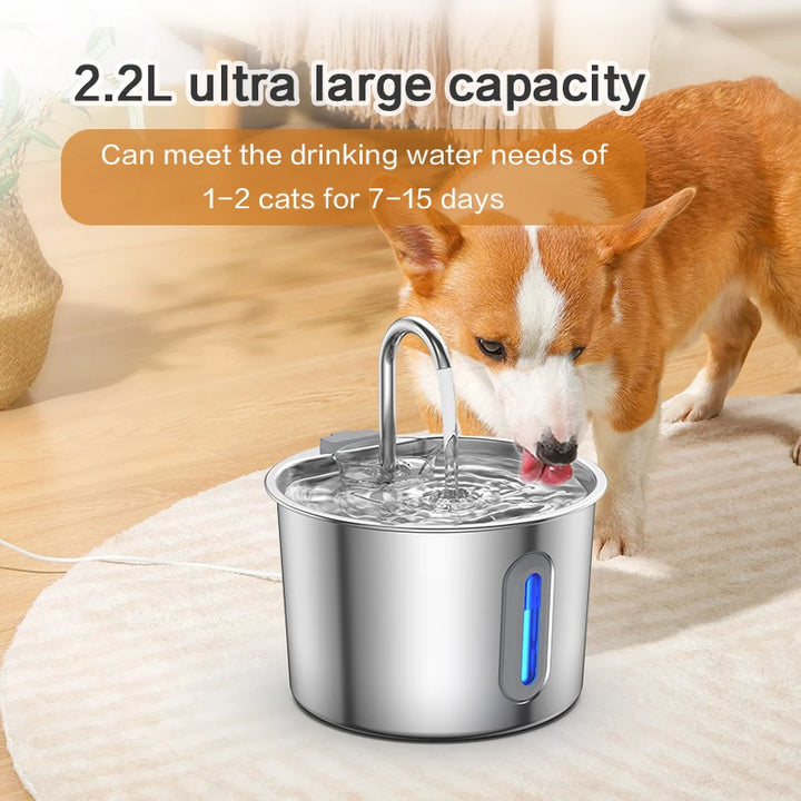 Fontaine à eau en acier inoxydable 2,2L pour chats et chiens, design moderne, capacité large, avec éclairage LED.