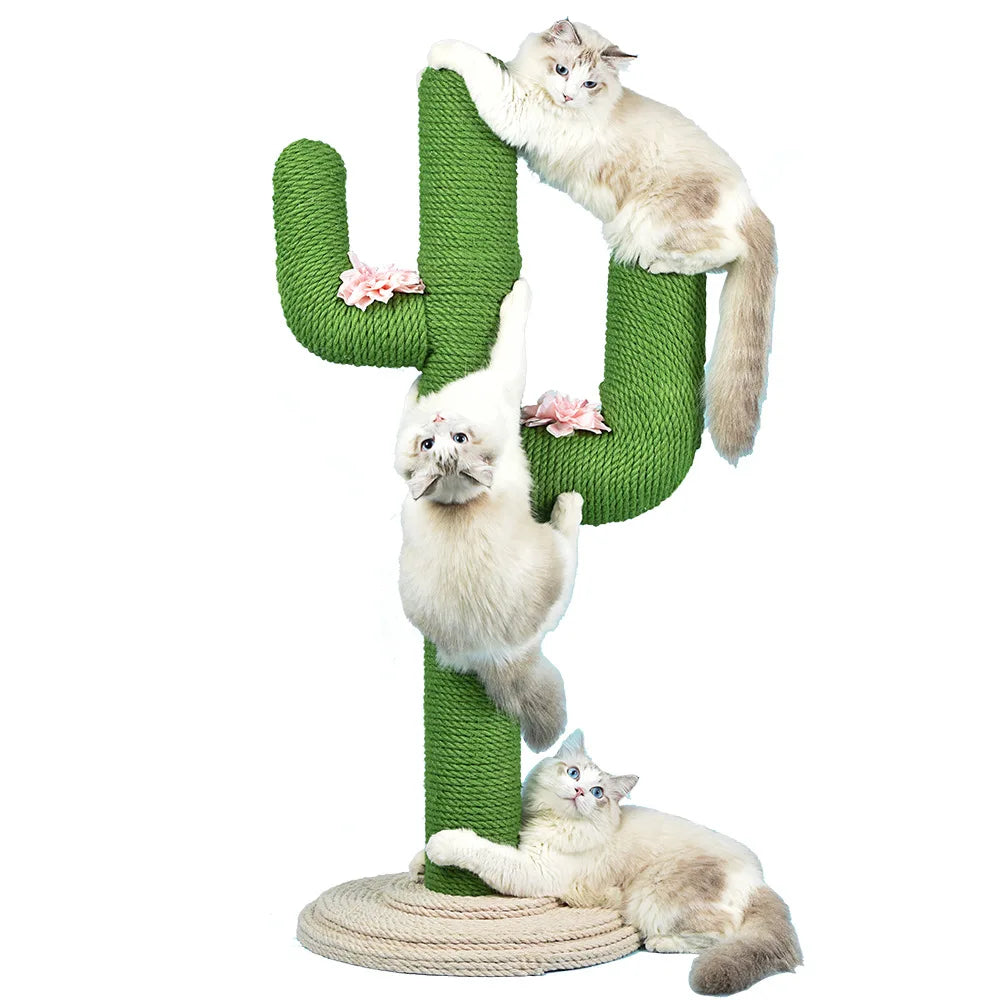 Arbre a chat Cactus - MiaouCactus