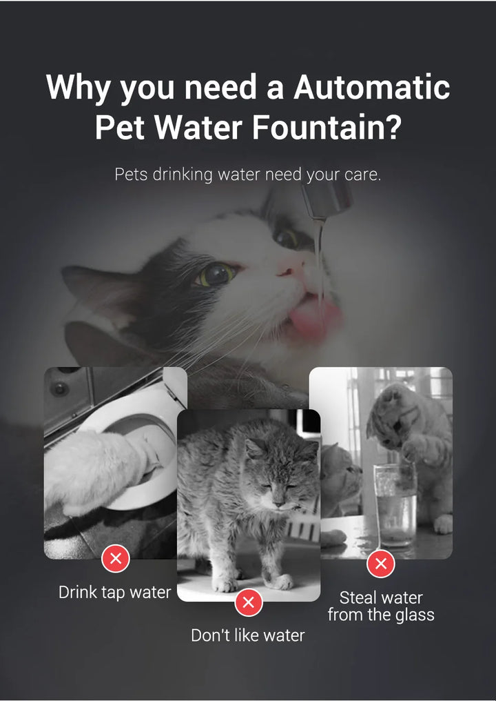 Fontaine à eau automatique pour animaux, design moderne, encourage l'hydratation de vos chats avec une circulation d'eau.