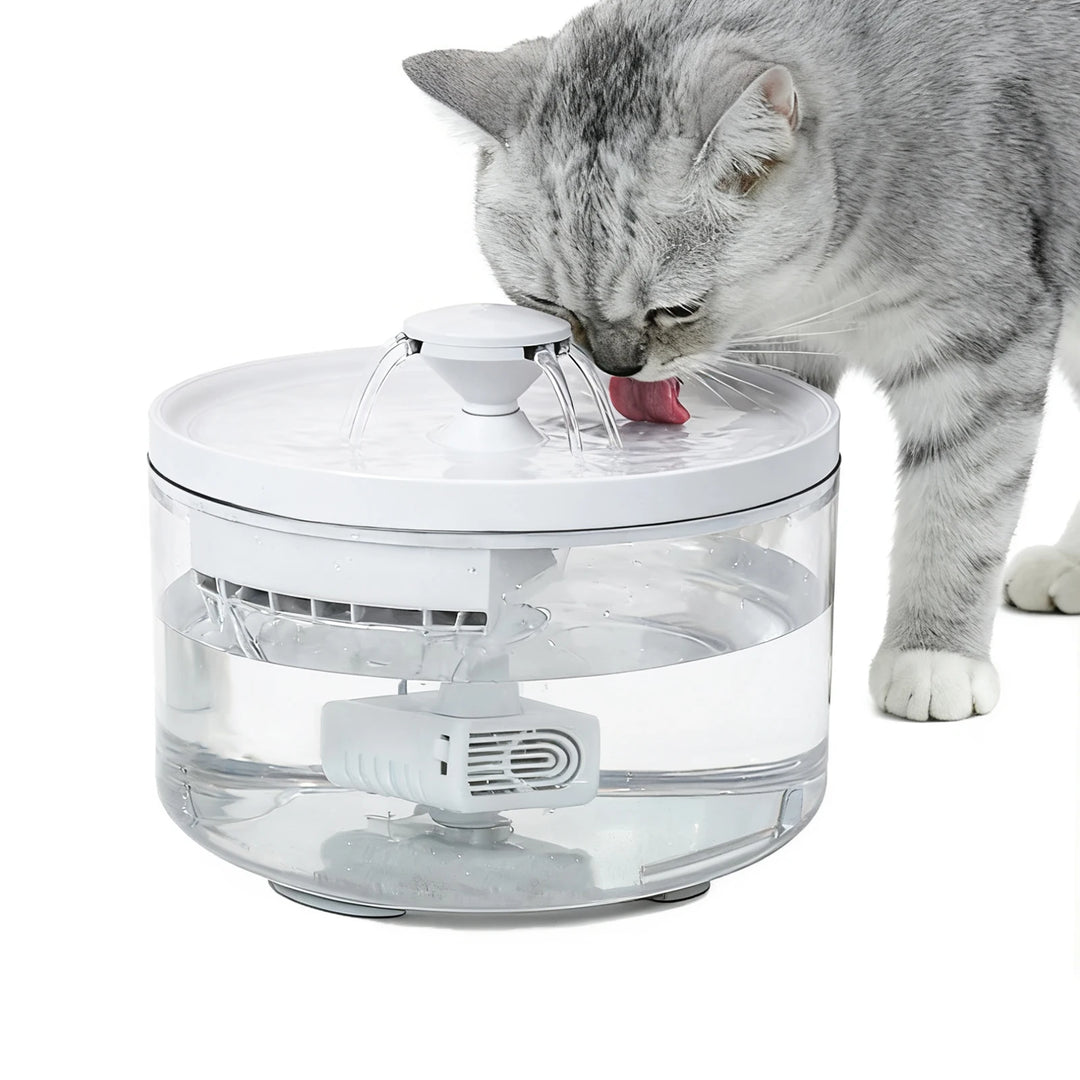 Fontaine à eau pour chat en plastique blanc, encourager l'hydratation avec moteur silencieux.