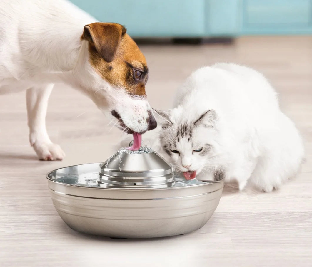 Fontaine à eau en acier inoxydable pour chien et chat, avec un design élégant et un fonctionnement silencieux.
