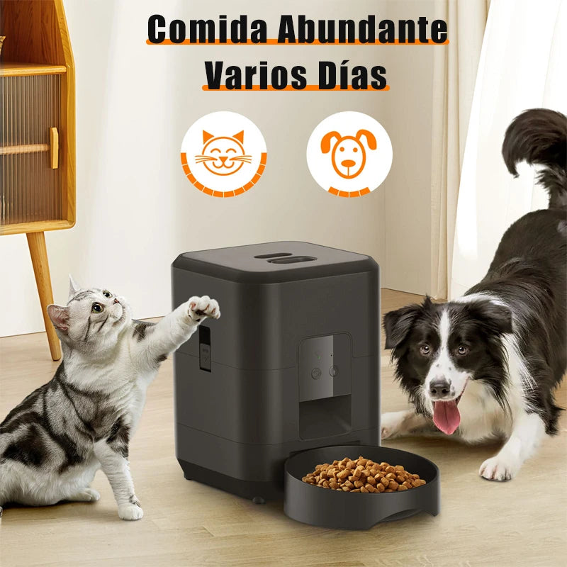 Distributeur automatique de nourriture pour animaux, noir, idéal pour chats et chiens.