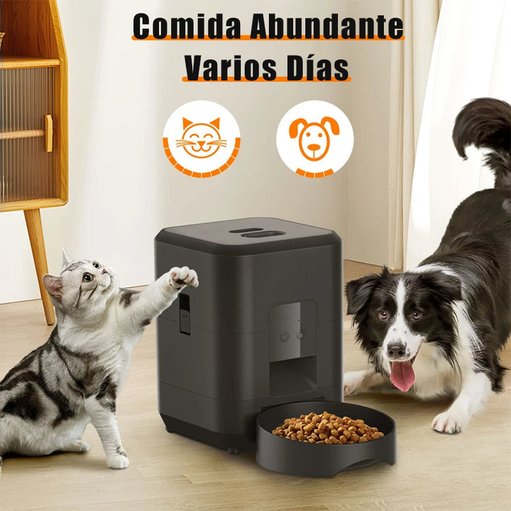 Distributeur automatique de nourriture pour animaux, noir, idéal pour chats et chiens.