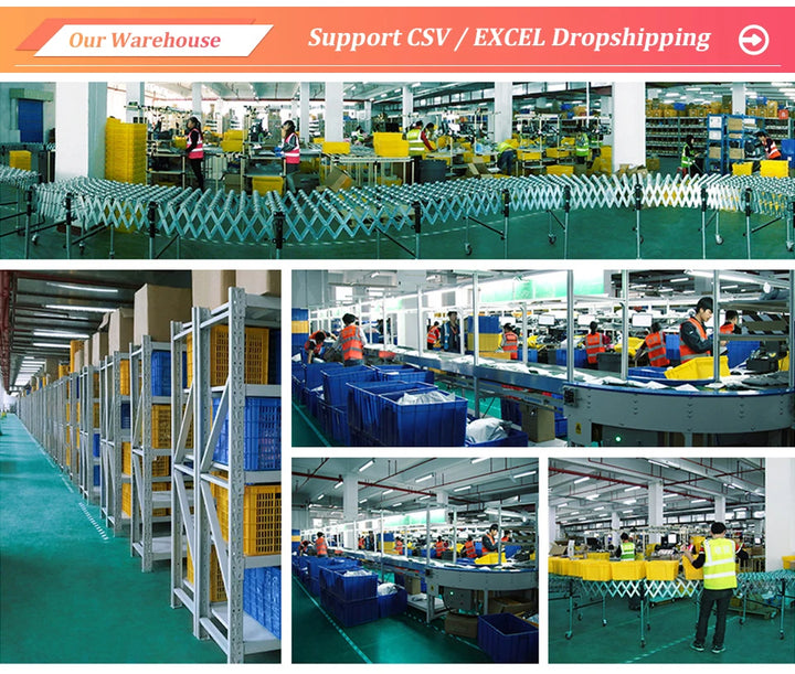 Chatière pour chat "Libre & Serein" – Modèle 4 Positions Étanche