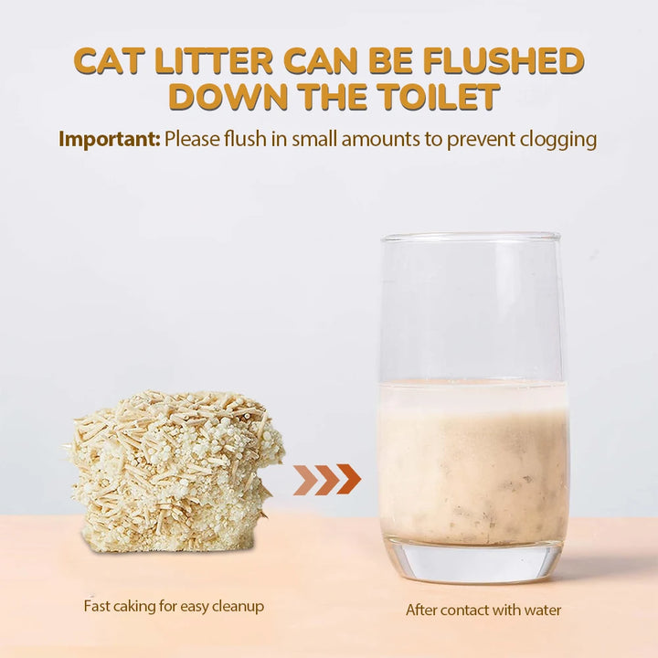 Litière Tofu Ultra Absorbante – Modèle "PureTofu DuoPack"