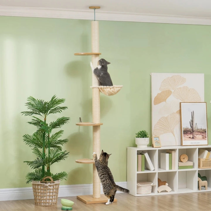 Arbre à chat sol plafond 230 cm en chêne et blanc crème