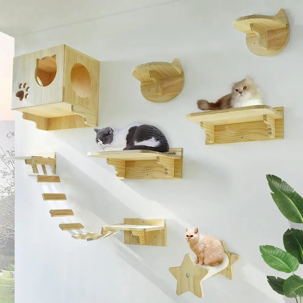 Arbre a chat mural en Bois avec tube transparent - MerveillesMurales