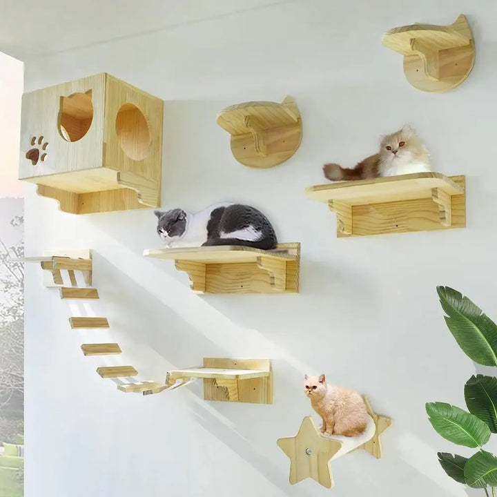 Arbre a chat mural en Bois avec tube transparent - MerveillesMurales