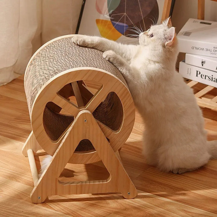  Roue d'Exercice pour Chat - Modèle "WhiskerWheel"