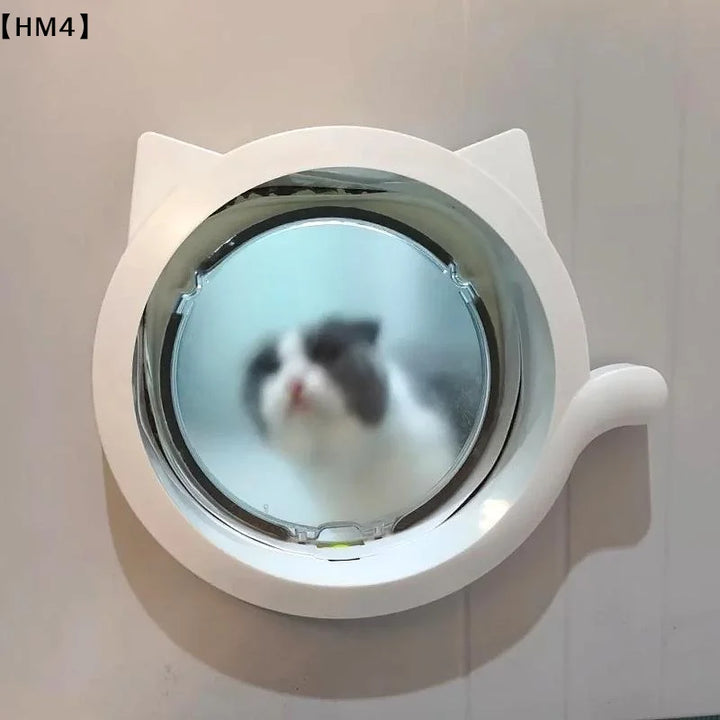 chatière pour chat drôle