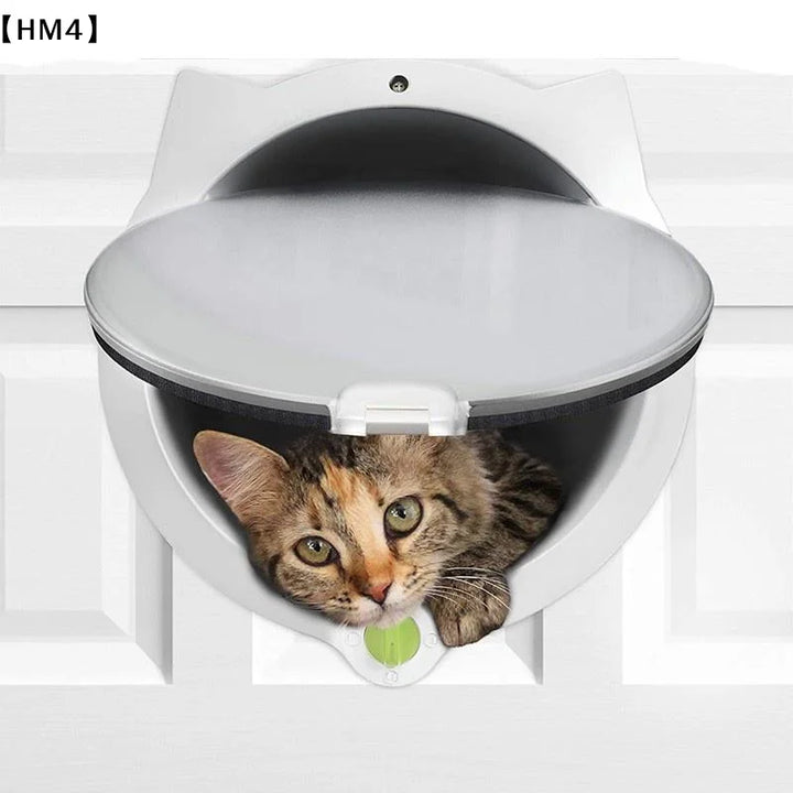 chatière pour chat transparente