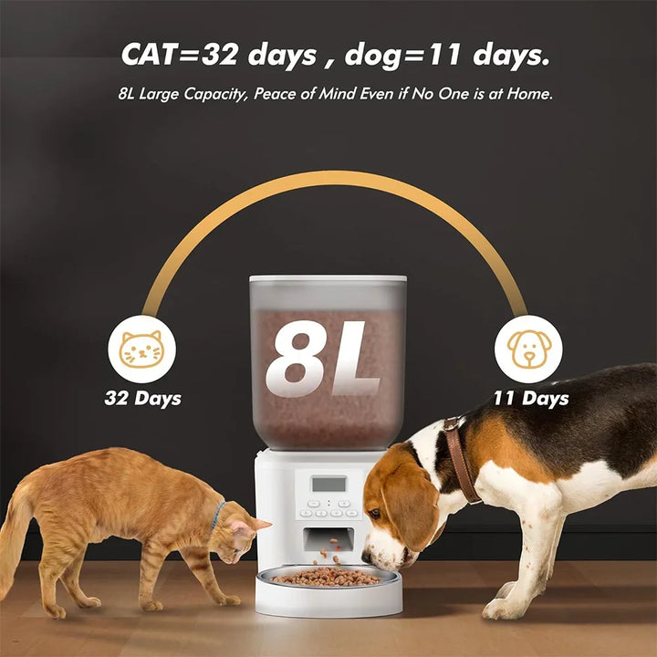 Distributeur automatique de nourriture pour animaux 8L, capacité élevée, pour chats et chiens, durée de 32 jours.