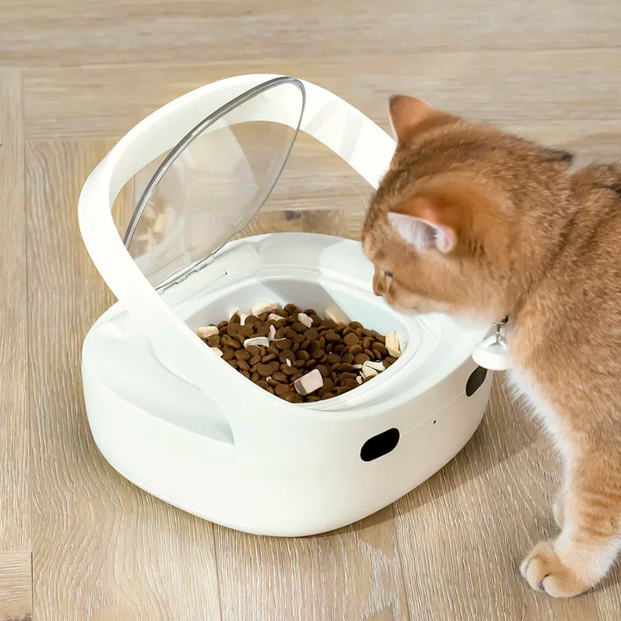 Distributeur de croquettes pour chat blanc avec couvercle transparent et design moderne.