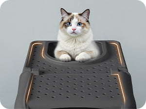 Bac à litière chat en acier inoxydable avec double entrée – Modèle "CleanSteel Premium"