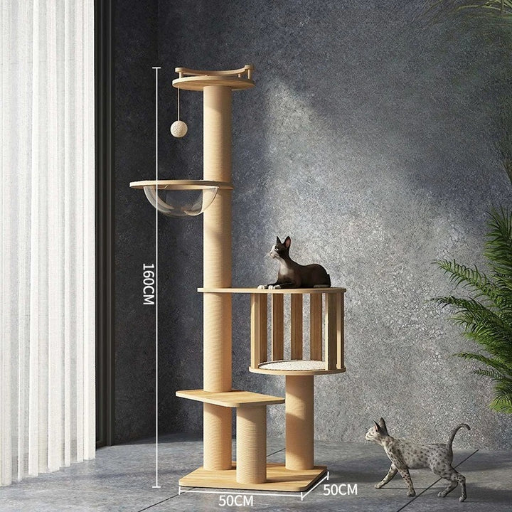 Arbre à chat en bois naturel et design - "CatForest"