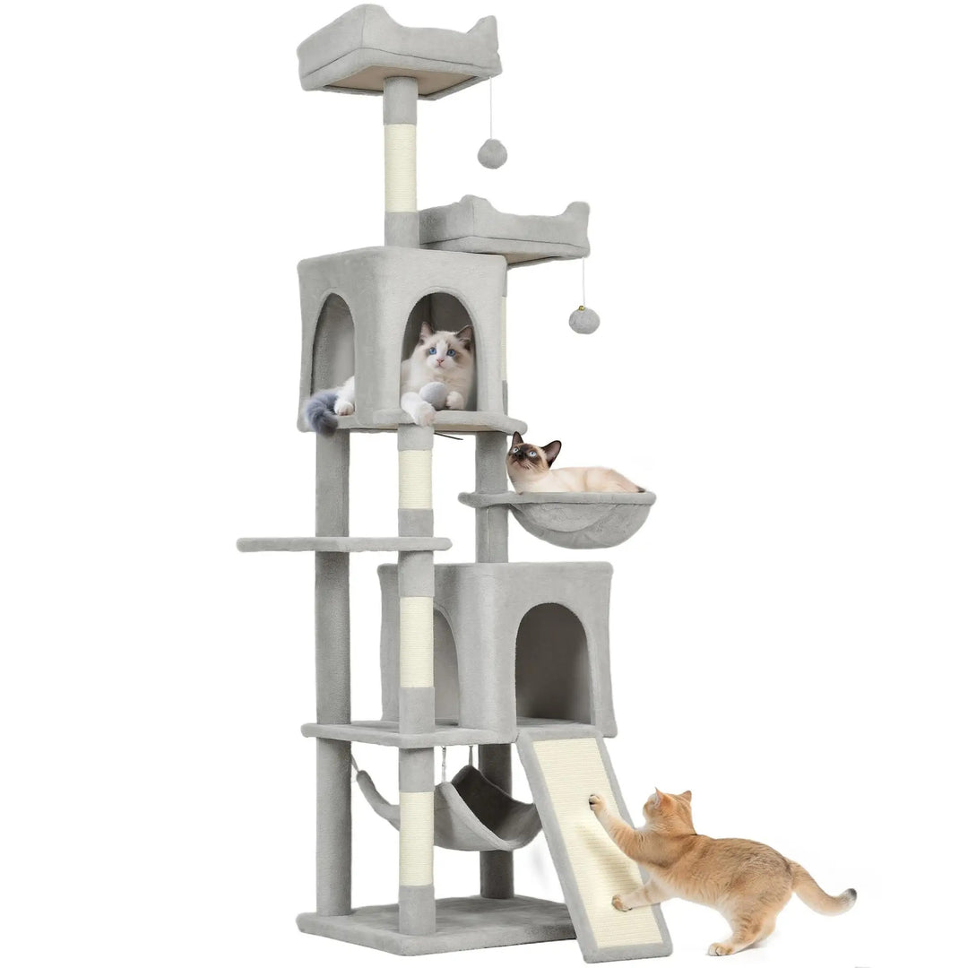 arbre à chat gris