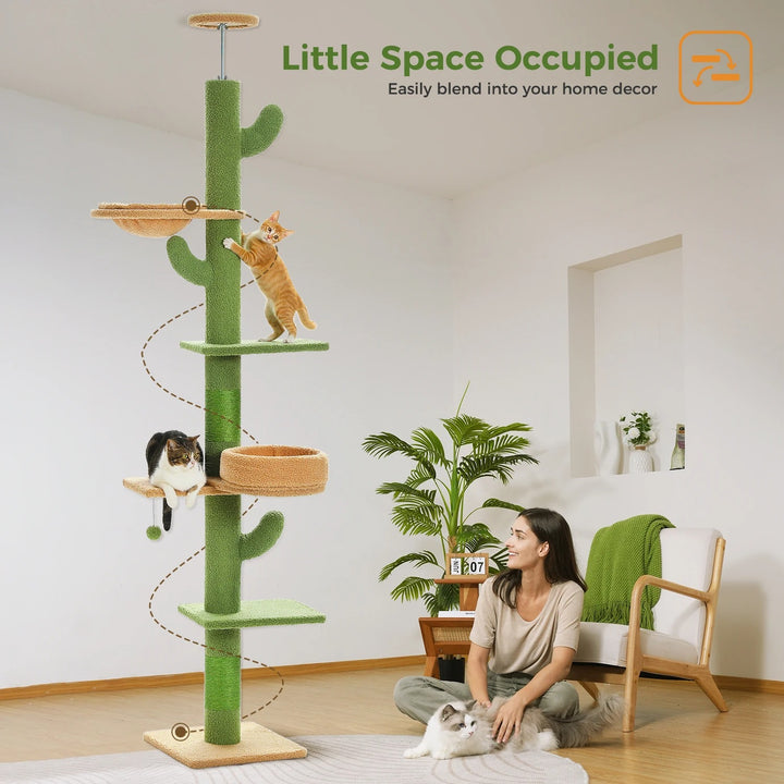 Arbre à chat ajustable du sol au plafond en forme de cactus - Modèle : "CactusCozy"