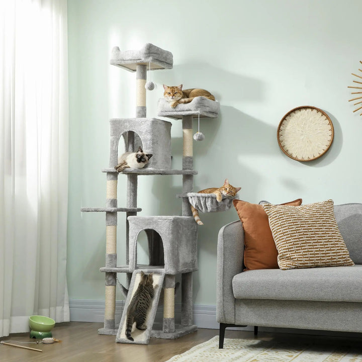 arbre à chat gris