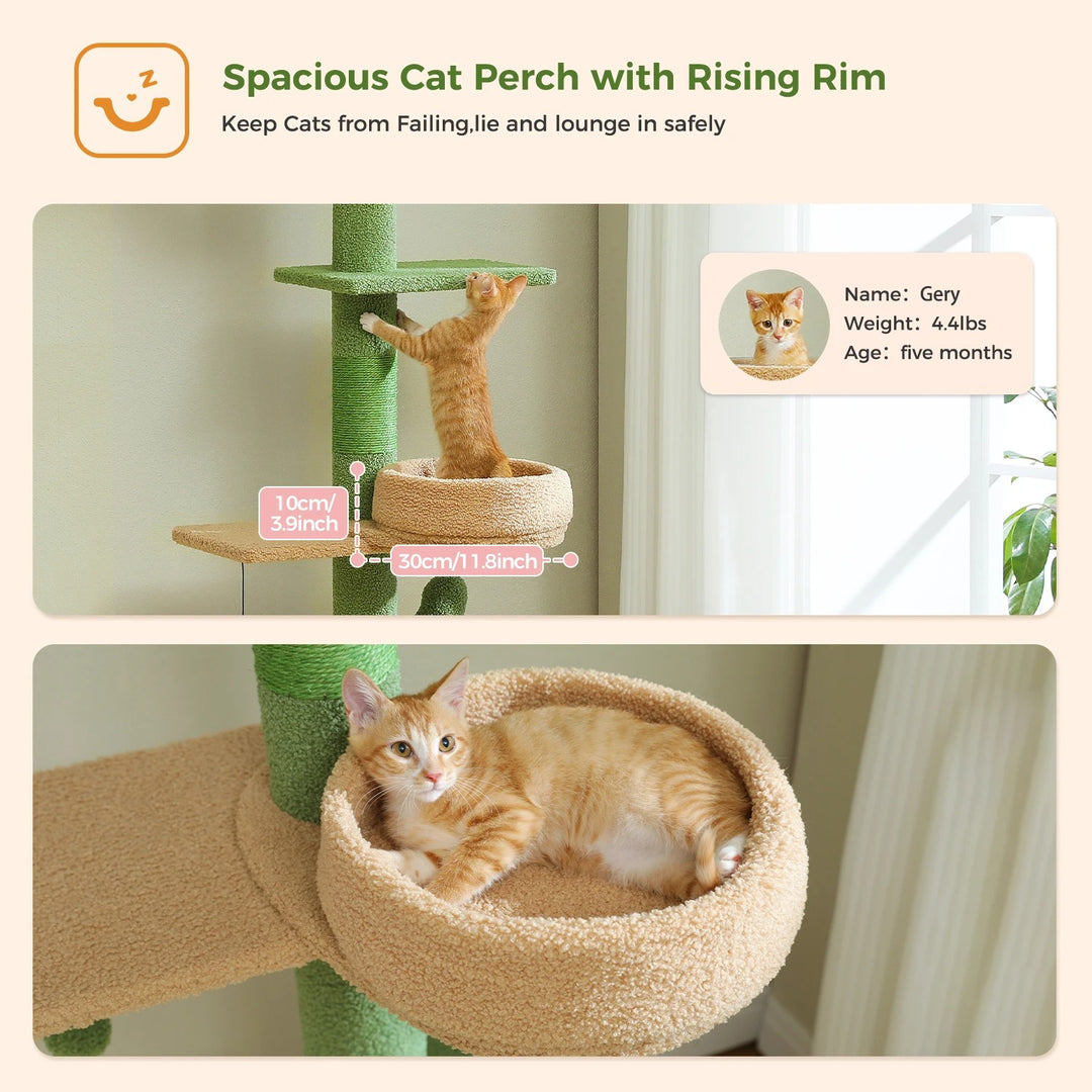 Arbre à chat ajustable du sol au plafond en forme de cactus - Modèle : "CactusCozy"