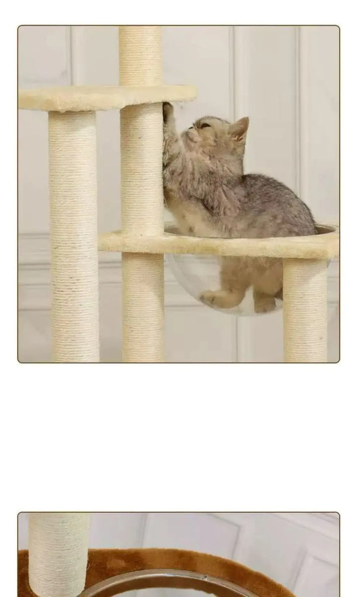 arbre à chat panier osier élégant