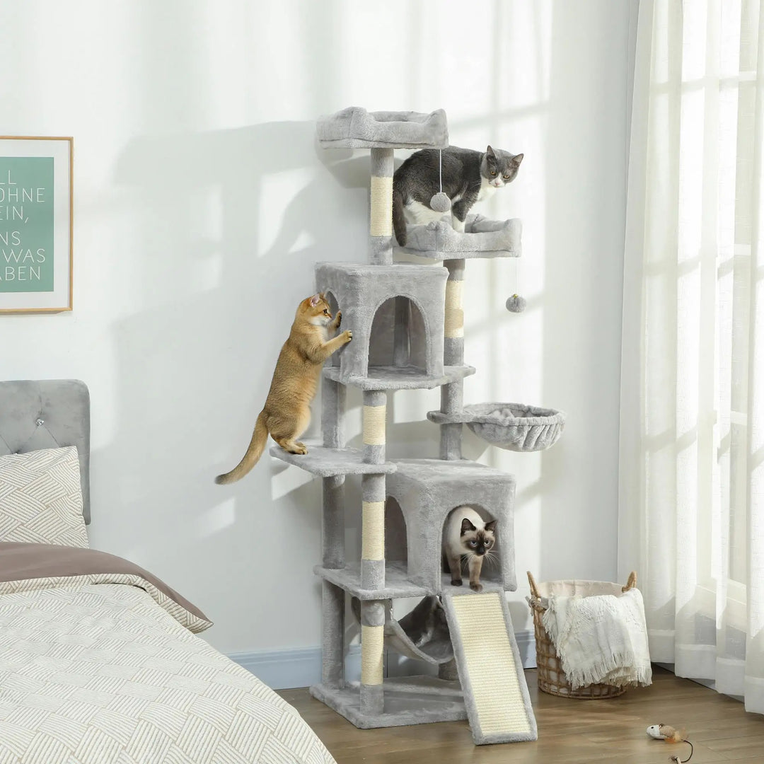 arbre à chat gris