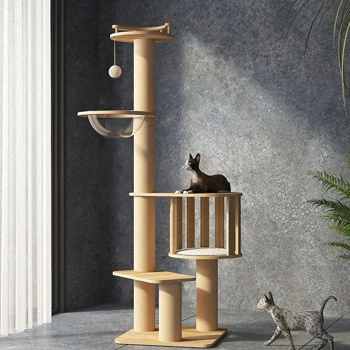 Arbre à chat en bois naturel et design - "CatForest"