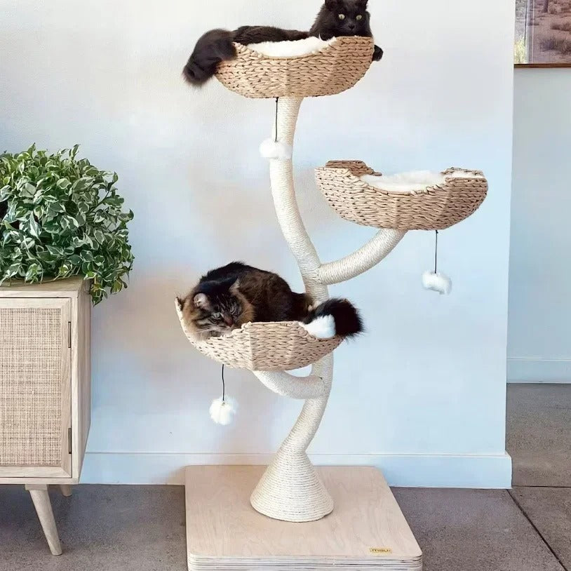 Arbre a chat fleur - Design - FleurDeluxe