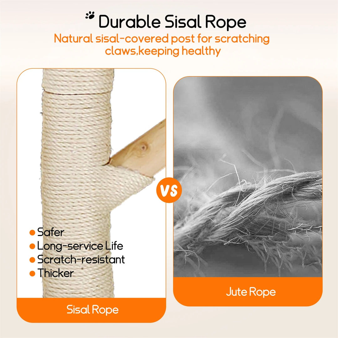 arbre à chat élégant bois naturel nid perché