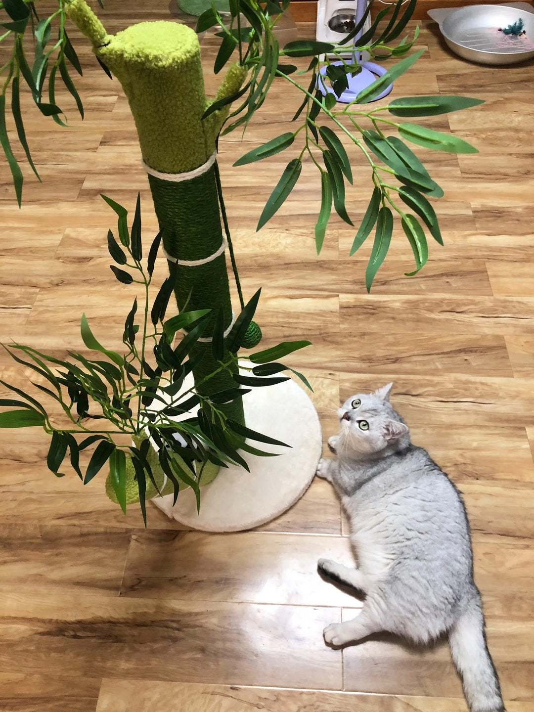 Arbre a chat - Griffoir, Bambou