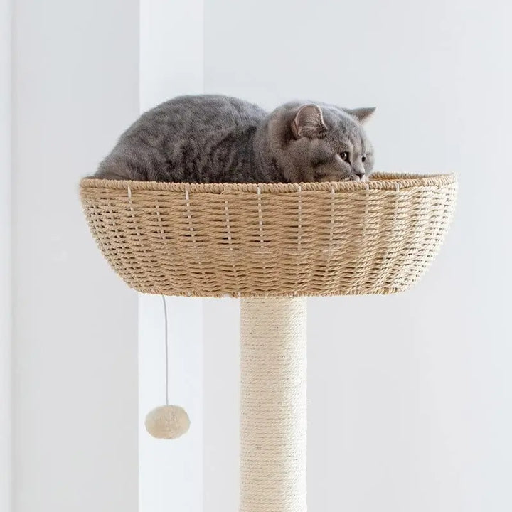 Arbre a chat Design en Bois Massif - Modèle SkyNest